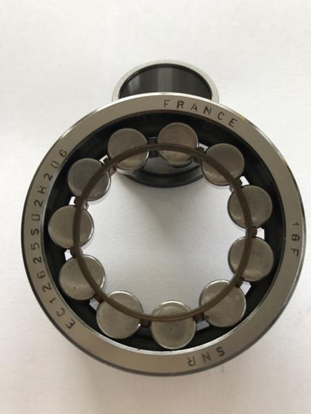 ŞANZUMAN RULMANI CLIO-KANGOO-LAGUNA-MEGANE-R19-SCENIC 25x59x18 EC12625S02H206 x