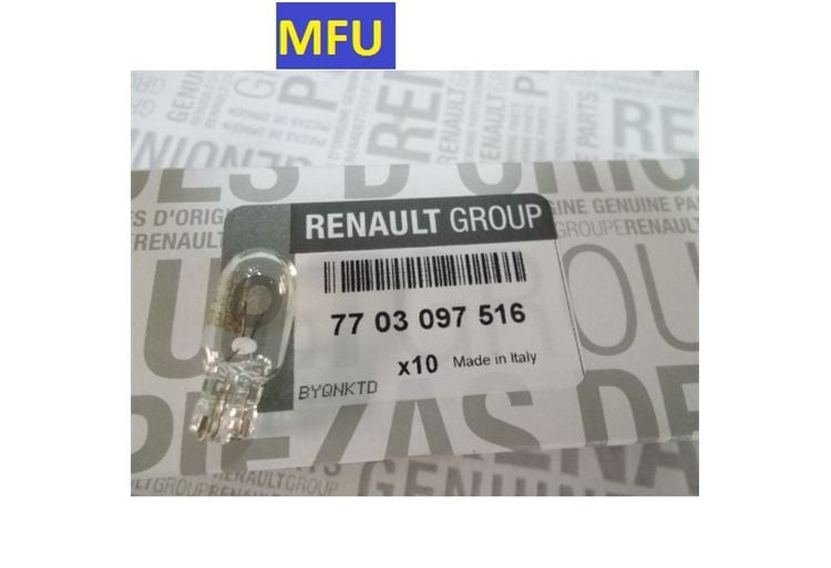 GÖST.DİPSİZ AMPL 5W PARK