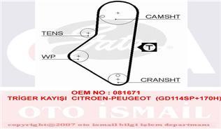 x TRİGER KAYIŞI 114x170 CITROEN-PEUGEOT GD114SP 170H CT754