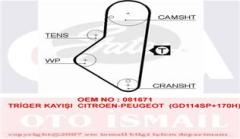 x TRİGER KAYIŞI 114x170 CITROEN-PEUGEOT GD114SP 170H CT754
