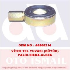 VİTES TEL YUVASI BÜYÜK PALİO-ALBEA-SİENA
